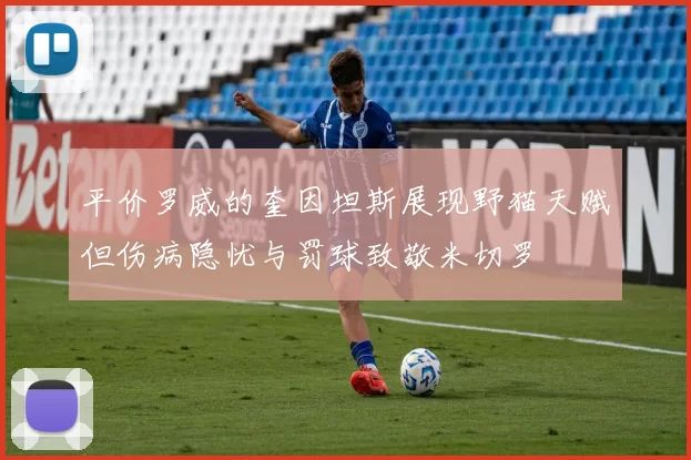 平价罗威的奎因坦斯展现野猫天赋但伤病隐忧与罚球致敬米切罗